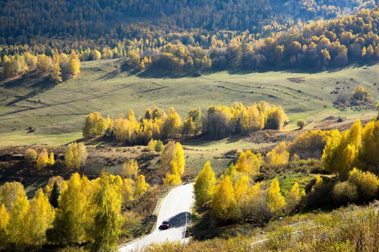新疆，嘉宾云集，观众热情如火